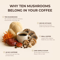 The ten mushrooms in Dulkin, laid out and named